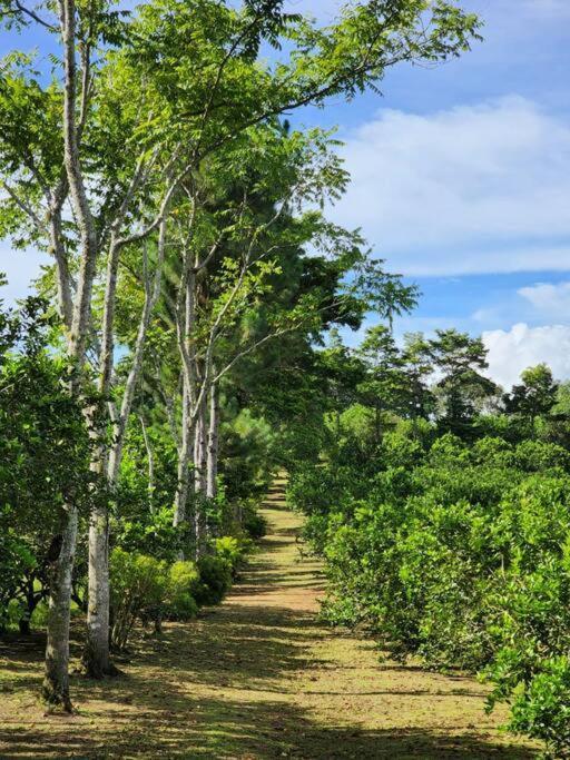 Hospedaje Finca Agroturistica Dona Rufa Rio Sereno Kültér fotó