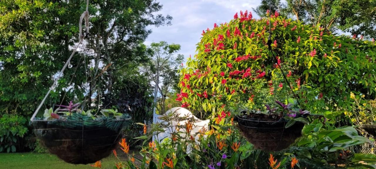 Hospedaje Finca Agroturistica Dona Rufa Rio Sereno Kültér fotó