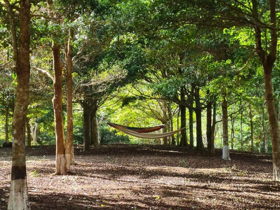 Hospedaje Finca Agroturistica Dona Rufa Rio Sereno Kültér fotó
