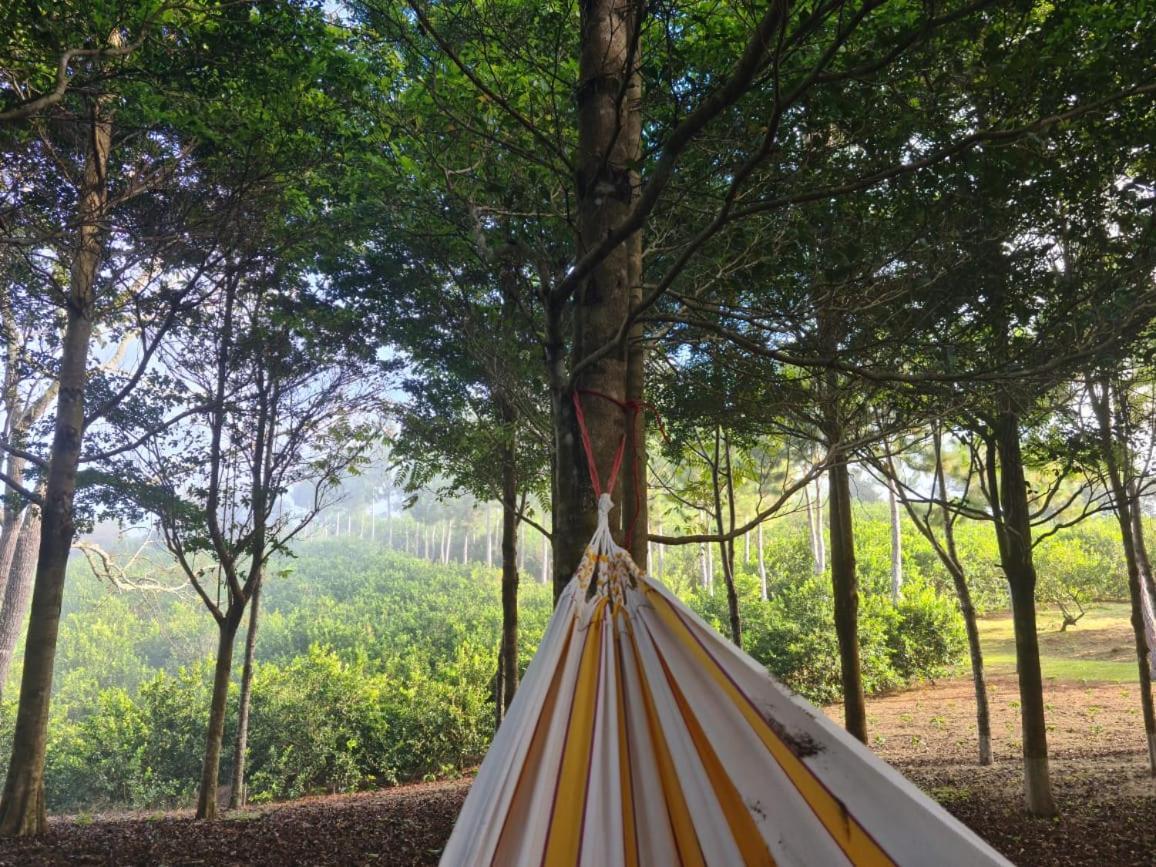 Hospedaje Finca Agroturistica Dona Rufa Rio Sereno Kültér fotó