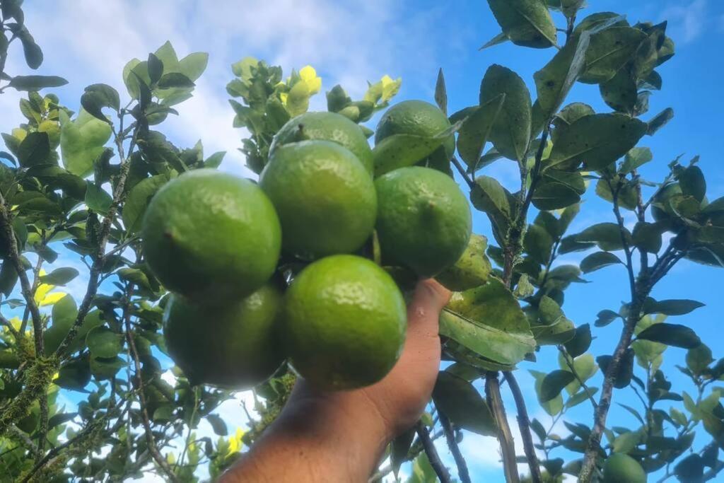 Hospedaje Finca Agroturistica Dona Rufa Rio Sereno Kültér fotó